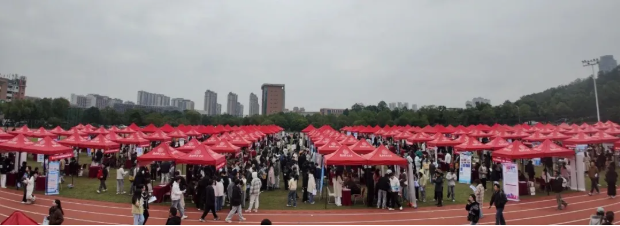 1761533099145019690.png image.png